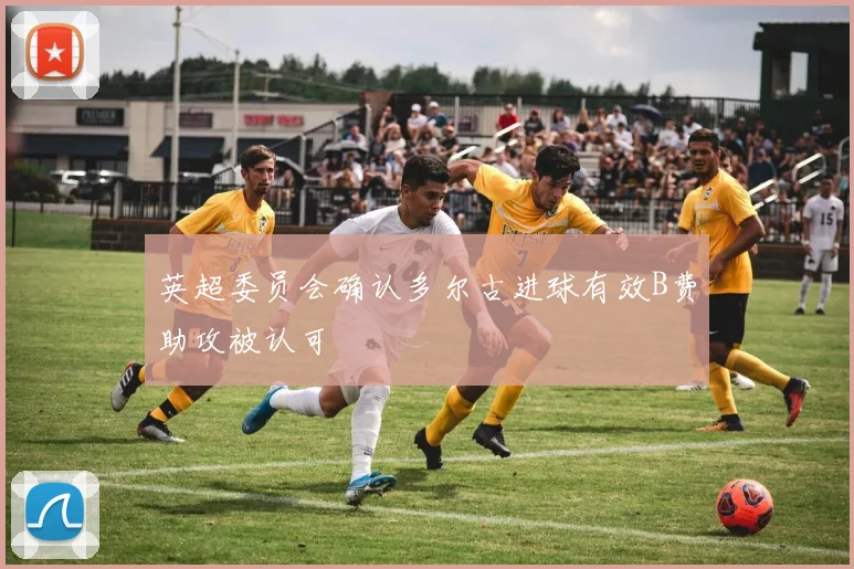英超委员会确认多尔古进球有效B费助攻被认可
