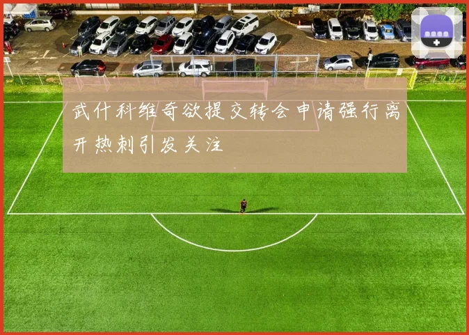 武什科维奇欲提交转会申请强行离开热刺引发关注