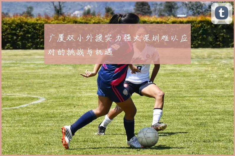 广厦双小外援实力强大深圳难以应对的挑战与机遇
