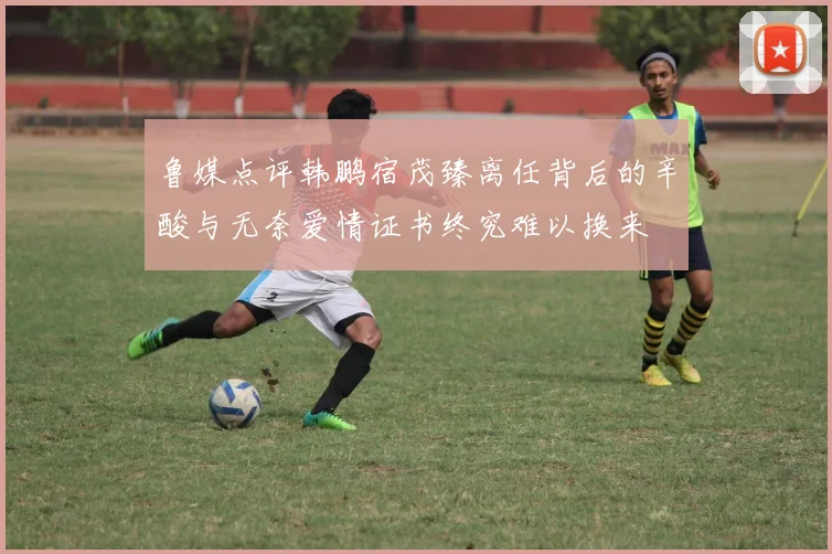 鲁媒点评韩鹏宿茂臻离任背后的辛酸与无奈爱情证书终究难以换来